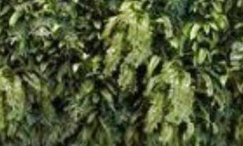 Imagem 2: Um cenário indescritível de luxo, sofisticação e arquitetura, que transcende tudo o que a