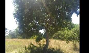 Imagem 3: TERRENO RURAL em CAMAÇARI - BA, CENTRO