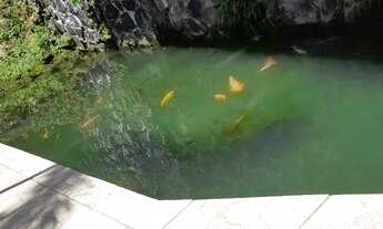 Imagem 6: APARTAMENTO RESIDENCIAL em SALVADOR - BA, BROTAS