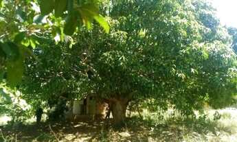 Imagem 6: TERRENO RURAL em CAMAÇARI - BA, CENTRO