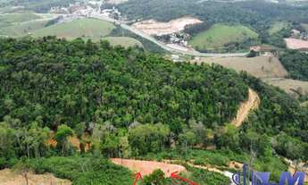 Imagem 7: Oportunidade: Terreno à venda em Guarapari-ES, na Comunidade Urbana de Jaboti, 1.000m² pró