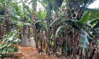 Imagem 4: Excelente Terreno no Bairro Nossa Senhora da Conceição