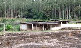 Imagem 4: FAZENDA À VENDA, 1216517 M² POR R$ 5.900.000,00 - JACUTINGA - JACUTINGA/MG