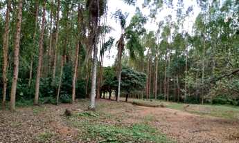 Imagem 6: FAZENDA À VENDA, 1216517 M² POR R$ 5.900.000,00 - JACUTINGA - JACUTINGA/MG