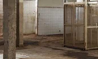 Imagem 2: BARRACÃO À VENDA, 364 M² POR R$ 1.500.000,00 - JARDIM AURÉLIA - CAMPINAS/SP