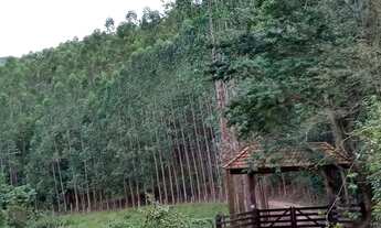 Imagem 5: FAZENDA À VENDA, 1216517 M² POR R$ 5.900.000,00 - JACUTINGA - JACUTINGA/MG