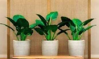 Imagem 5: APARTAMENTO RESIDENCIAL À VENDA, SWISS PARK, CAMPINAS - AP0335