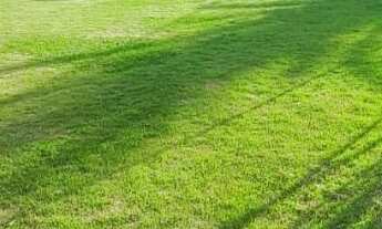 Imagem 6: CHÁCARA COM 1 DORMITÓRIO À VENDA, 3360 M² POR R$ 3.700.000,00 - JOAPIRANGA - VALINHOS/SP