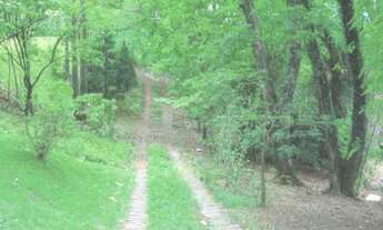 Imagem 2: CHÁCARA COM 4 DORMITÓRIOS À VENDA, 44250 M² POR R$ 2.800.000,00 - VALE VERDE - VALINHOS/SP