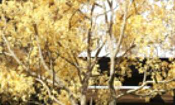 Imagem 2: APARTAMENTO RESIDENCIAL em São Paulo - SP, Paraíso