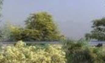 Imagem: CASA RESIDENCIAL em São Paulo - SP, Alto