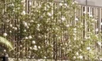 Imagem 3: COBERTURA RESIDENCIAL em São Paulo - SP, Perdizes