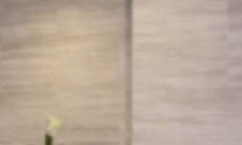 Imagem 7: COBERTURA RESIDENCIAL em Balneário Camboriú - SC, Pioneiros