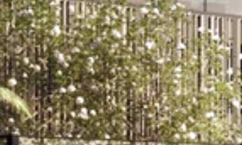 Imagem 3: COBERTURA RESIDENCIAL em São Paulo - SP, Perdizes