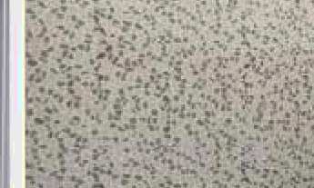 Imagem 6: Apartamentos à venda no VillaFlor Residencial em Campinas