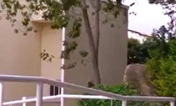 Imagem 7: Casa à venda no Condomínio Residencial Sta Elisa em Valinhos