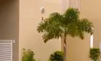 Imagem 3: Casa à venda no Condomínio Residencial Sta Elisa em Valinhos