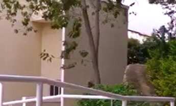 Imagem 7: Casa à venda no Condomínio Residencial Sta Elisa em Valinhos