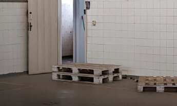 Imagem 6: Excelente Barracão localizado no Jardim Aurélia - Campinas Sp