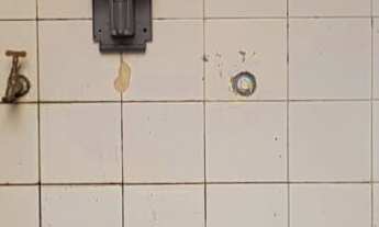 Imagem 3: Excelente Barracão localizado no Jardim Aurélia - Campinas Sp