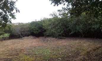 Imagem 4: CHÁCARA COM 2 DORMITÓRIOS À VENDA, 26200 M² POR R$ 1.800.000,00 - CAPUAVA - VALINHOS/SP