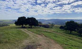 Imagem 5: FAZENDA À VENDA, 4041400 M² POR R$ 40.000.000,00 - ALTO - PIRACICABA/SP