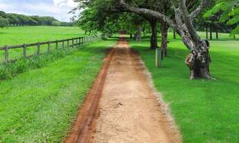 Imagem 7: TERRENO À VENDA, 455 M² POR R$ 380.000,00 - RESERVA SANTA IZABEL - JAGUARIÚNA/SP