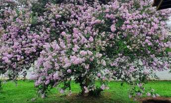 Imagem 5: CHÁCARA COM 3 DORMITÓRIOS À VENDA, 4400 M² POR R$ 1.600.000,00 - CHÁCARAS SÃO BENTO - VALI