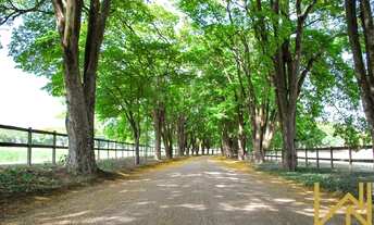 Imagem: TERRENO À VENDA, 438 M² POR R$ 370.000,00