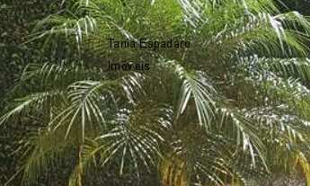 Imagem 3: 3 dormitórios, 3 suíte, 3 banheiro, 7 vagas na garagem