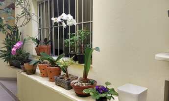 Imagem 4: 5 dormitórios, 2 suíte, 5 banheiro, 2 vagas na garagem