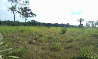 Imagem: VENDO FAZENDA 875 hectares DUPLA APTIDÃO