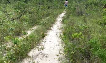 Imagem 2: VENDO FAZENDA DE 15.000hec REGIÂO DE RORAINÓPOLIS - RORAIMA (6092