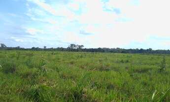Imagem 4: VENDO FAZENDA 875 hectares DUPLA APTIDÃO EM RORAIMA ( 6094