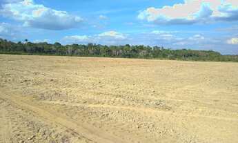 Imagem 6: VENDO FAZENDA 875 hectares DUPLA APTIDÃO EM RORAIMA ( 6094