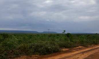Imagem: VENDO FAZENDA DE 15.000hec REGIÂO DE RORAINÓPOLIS
