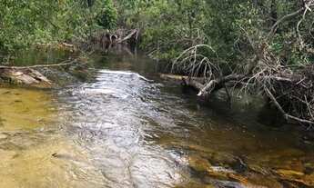 Imagem 3: VENDO FAZENDA DE 15.000hec REGIÂO DE RORAINÓPOLIS - RORAIMA (6092
