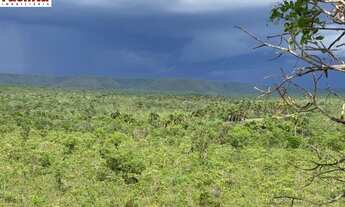 Imagem 4: VENDO FAZENDA DE 15.000hec REGIÂO DE RORAINÓPOLIS - RORAIMA (6092