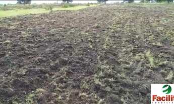 Imagem 2: VENDO FAZENDA 3.100 HECTARES NO MARANHAO (6126