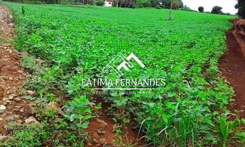 Imagem 6: SÍTIO À VENDA Fazenda / sítio com venda por R$390.000