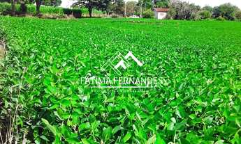 Imagem 2: SÍTIO À VENDA Fazenda / sítio com venda por R$390.000