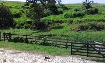 Imagem 3: Excelente fazenda em Caçapava 410 hectares