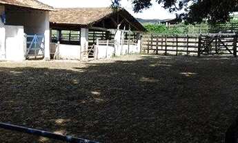 Imagem 5: Excelente fazenda em Caçapava 410 hectares