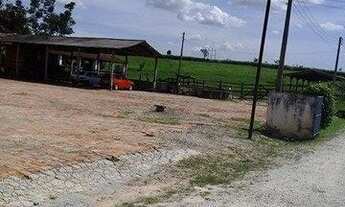 Imagem 6: Excelente fazenda em Caçapava 410 hectares