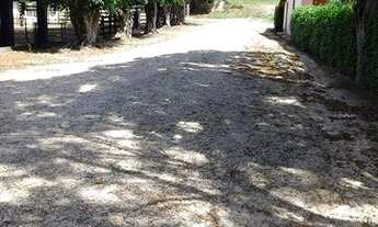 Imagem 7: Excelente fazenda em Caçapava 410 hectares