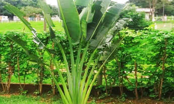 Imagem 3: É MUITO MAIS DO QUE UMA SIMPLES RESIDÊNCIA! LOCALIZADA NO CONDOMÍNIO PORTAL DAS PALMEIRAS