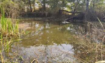 Imagem 6: Realize o sonho de ter uma belíssima chácara na região da CHÁCARAS VILA CARMEM, mais conhe