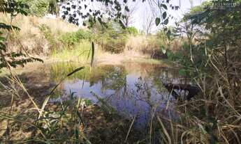 Imagem 4: Realize o sonho de ter uma belíssima chácara na região da CHÁCARAS VILA CARMEM, mais conhe