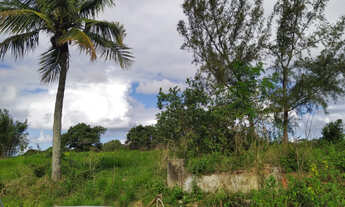 Imagem 7: Área Venda Araruama