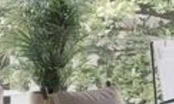 Imagem 7: COBERTURA RESIDENCIAL em Rio de Janeiro - RJ, Leblon